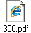 300.pdf